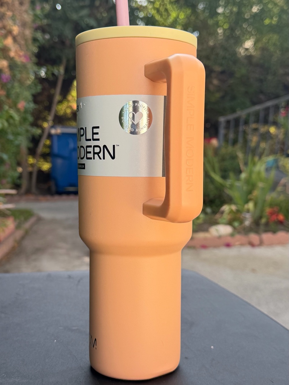 Peach Travel Tumbler with Handle